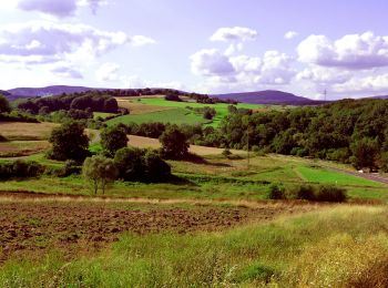 Tour Zu Fuß Bad Bocklet - Bad Bocklet - Rundweg F - Photo