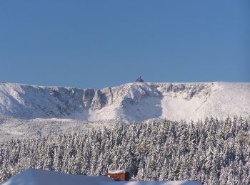 Tour Zu Fuß  - Piechowice - Pod Wielkim Szyszakiem - Photo