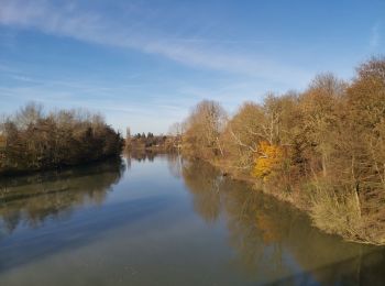 Trail Walking La Ferté-sous-Jouarre - RP51-08 La Ferté-sous-Jouarre à Changis-sur-Marne - Photo