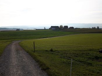 Randonnée A pied Obfelden - Wolsen - Hinteruttenberg - Photo