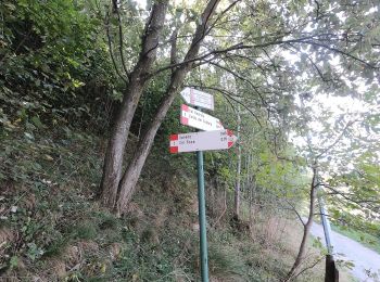 Tour Zu Fuß Caprino Bergamasco - Sentiero 808: Località Foppa - Coldara - Photo