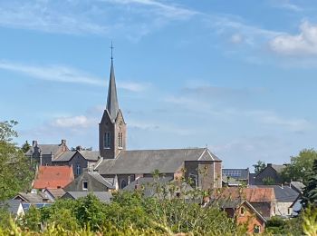 Excursión Senderismo Gerpinnes - Fromiée Gougnies  - Photo