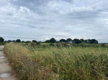 Trail Walking Quiberon - Tour De Locmaria - Photo