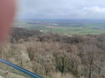 Randonnée Marche Westhalten - Westhalden Schauenberg  - Photo