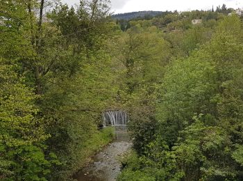 Tocht Stappen Lodève - Saint-Martin - L'Ambeyran - Photo