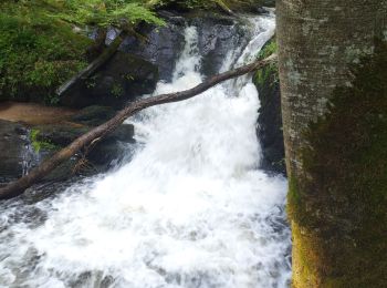 Trail Walking Ferrières-sur-Sichon - Grotte des fées y cascade - Photo
