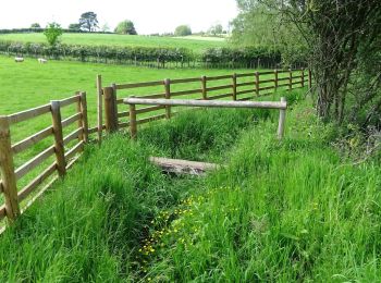 Percorso A piedi Amber Valley - Amber Valley Routeway Walk 1 - Photo