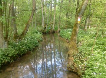 Tocht Te voet Sulzbach-Rosenberg - Siebeneichener Rundwanderweg - Photo