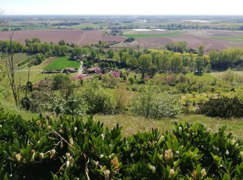 Tour Wandern Piquecos - Piquecos - Photo