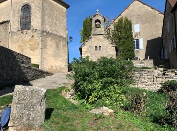 Trail Walking Voiteur - Château Chalon 27-10-2022 - Photo