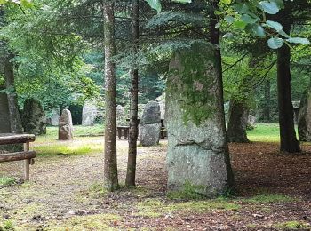 Trail Walking Rosheim - Eichwald - Tour du Heidenkopf - Photo