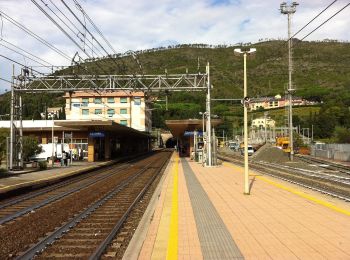 Tocht Te voet Levanto - Vallesanta - Monte delle Streghe - Colletto - Photo