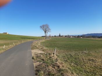 Tour Wandern Saint-André-de-Chalencon - boucle Saint André  - Photo