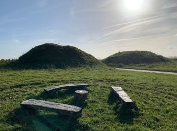 Tour Wandern Gingelom - Les tumulus gallo-romains de Gingelom - Photo