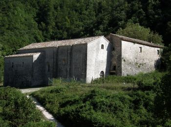Tocht Te voet Sassoferrato - IT-105 - Photo