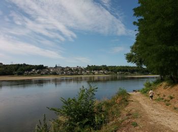 Tocht Elektrische fiets Bourgueil - boucle 22 à partir de Bourgueil - Photo