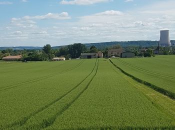 Tocht Stappen Clermont-Soubiran - Les Acacias-Ebrard-Labro - Photo