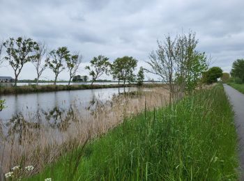 Excursión Senderismo Nieuwpoort - Nieuport 080523 - Photo