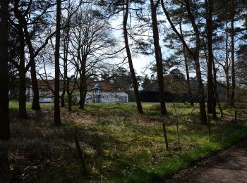 Trail On foot Mol - De Ronde Put - Photo