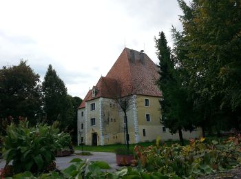 Tocht Te voet Bärnbach - Wanderweg 5 