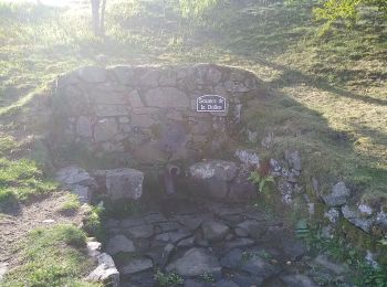 Trail Walking Kirchberg - Lochberg - Photo
