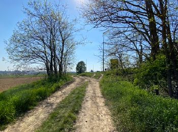 Excursión Senderismo Berchem-Sainte-Agathe - Sint-Agatha-Berchem - Zellik tour limite 7,5 km - Photo