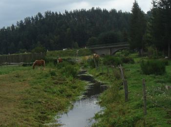 Excursión Senderismo Saint-Alban-sur-Limagnole - CC_Velay_AD_04_St-Alban-Limagnole_Peyre-Aubrac_20060824 - Photo