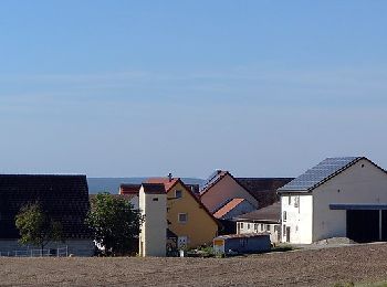 Tocht Te voet Weisendorf - Weisendorfer Rundwanderweg 8 - Photo