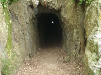 Trail Walking Collioure - rimbaud chemin de l'eau  - Photo