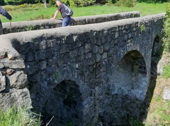 Tour Wandern Lachamp-Raphaël - Lachamp-Raphaël :  les sucs - Photo