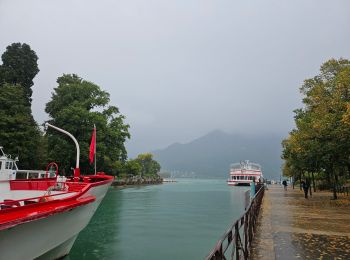 Tocht Stappen Annecy - J26 - Annecy - Photo