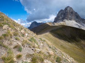 Randonnée Marche Allos - De la tardé (sic) à la tête de la Sestrière  - Photo