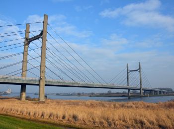 Trail On foot Kampen - WNW IJsseldelta -Kampen/Station Kampen - gele route - Photo