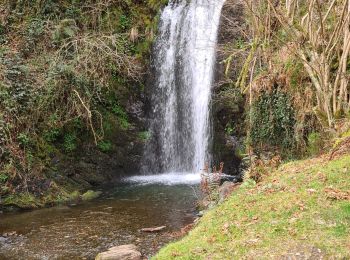 Tour Wandern Arantza - ibintza depuis Arantza - Photo