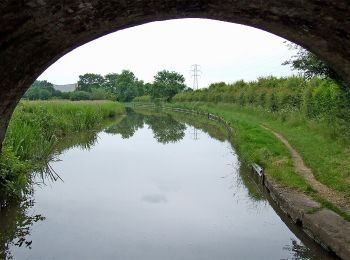 Tour Zu Fuß Hinckley and Bosworth - Footpath T54 - Photo