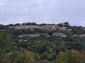 Randonnée Marche Venasque - Combes et forêt de Vénasque  - Photo