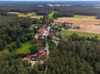 Tocht Te voet Schwanstetten - Zum Köhlerbetrieb - Photo