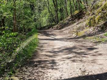 Percorso Marcia Châtel-Guyon - VALLEE DE SANS SOUCI - Photo
