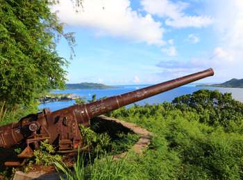 Excursión Senderismo Bora-Bora - Fare Piti - 2 canons US - Photo