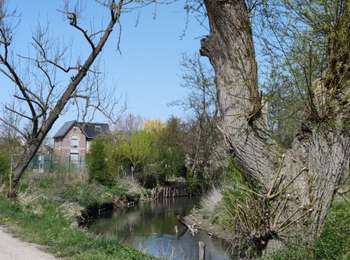 Trail Walking Juprelle - Paifve - Mal - Paifve  - Photo