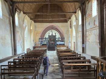 Trail Walking Saint-Sauveur-en-Puisaye - 2024 08 14 Saint Sauveur en Puisaye_Sentier Colette - Photo