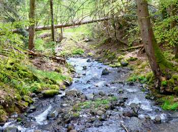 Percorso Marcia Saint-Victor-la-Rivière - St_Victor_Vallon_Courbanges - Photo