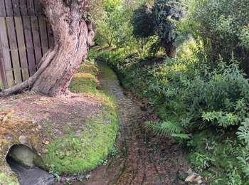 Trail Walking Ouffet - adeps 10km ellemelle - Photo