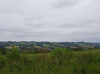 Trail Car Tarsacq - CcLO Artix Lacq Mourenx 14.06.19 - Photo