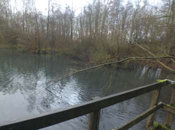 Trail Walking Waremme - Waremme Marche - Photo