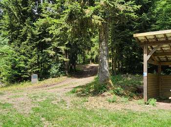 Excursión Bici de montaña Ternuay-Melay-et-Saint-Hilaire - ternuay, ballon de servante par belfahy  - Photo
