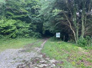 Randonnée Marche Corcy - en Forêt de Retz_94_06_2025_la Promenade de la Ramée_le Trou de Terelle - Photo