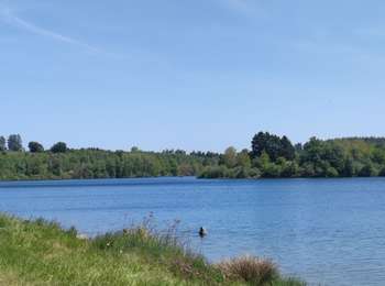 Trail Walking Bütgenbach - A la découverte du Lac de Butgenbach - Photo