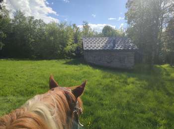 Trail Horseback riding Le Pontet - 202405 boucle BourgetEnHuile - ColGrandCucheron - Photo