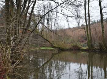 Trail Walking Limbourg - 20220117 - La Louveterie 7.2 Km - Photo